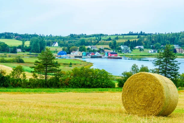 Construction Estimating Services Hay River