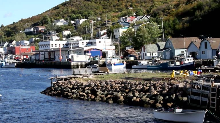 Construction Estimating Services Mount Pearl