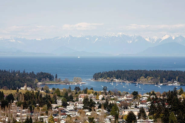 Construction Estimating Services Nanaimo