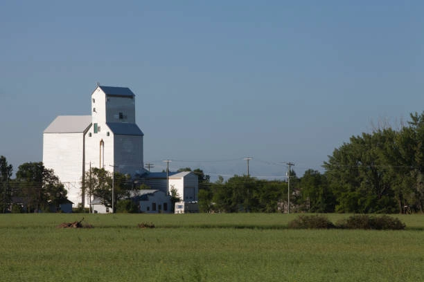 Construction Estimating Services Winkler