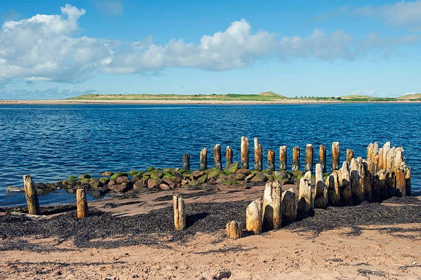 Construction Estimating Services in Tracadie